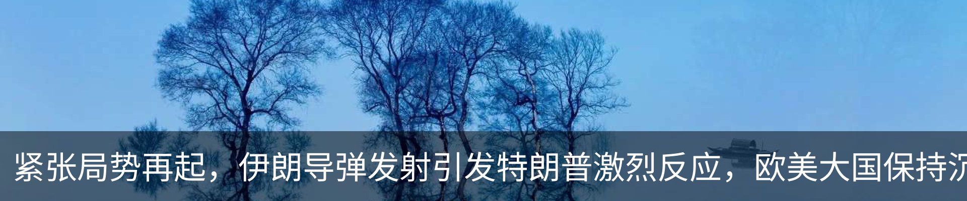 新闻动态